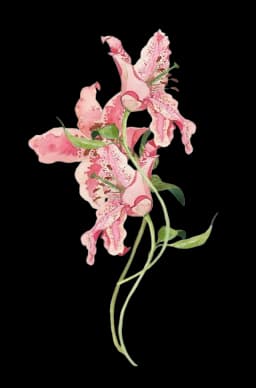 Espiga de flores