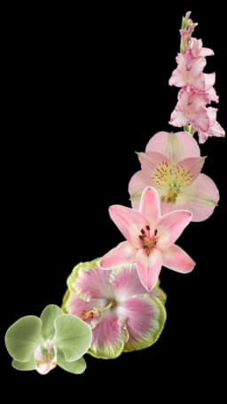 Guirnalda de flores