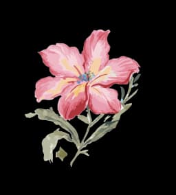Flor rosada